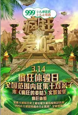 疯狂的麦咭第一季：石板密室大冒险，挑战你的智商与勇气！
