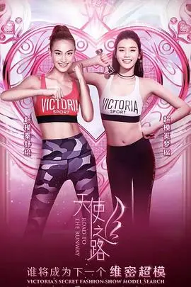 《天使之路》：一部触动灵魂的文化寻根之旅，探寻生命的意义与传承