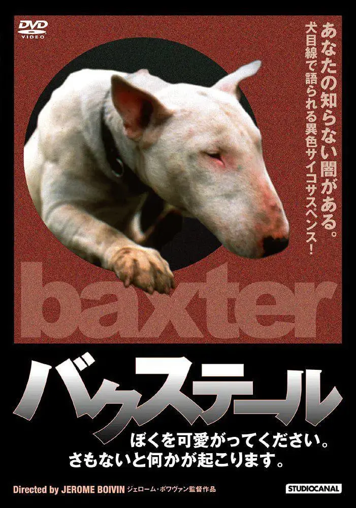 《狗儿怨》：爆笑复仇还是真情流露？当狗狗也开始‘以牙还牙’，年度黑马喜剧来袭！