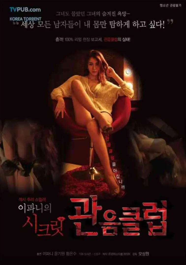 《秘密俱乐部》：青春期的躁动与迷茫，一场关于成长的华丽冒险